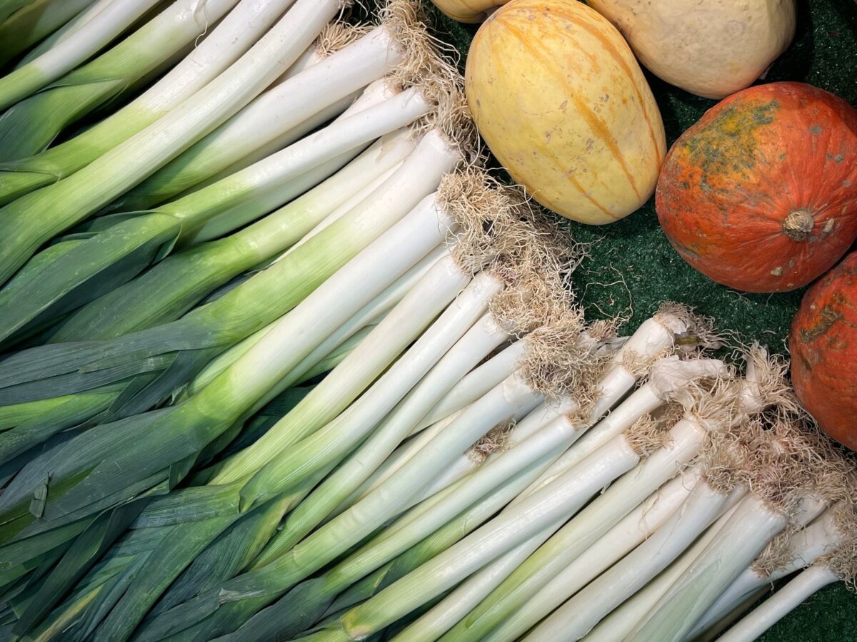 Nappes phréatiques au plus bas : comment adapter le potager et les plantations d'automne